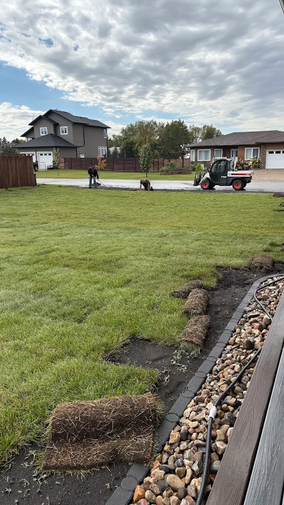 Crew installing a new lawn on a local property